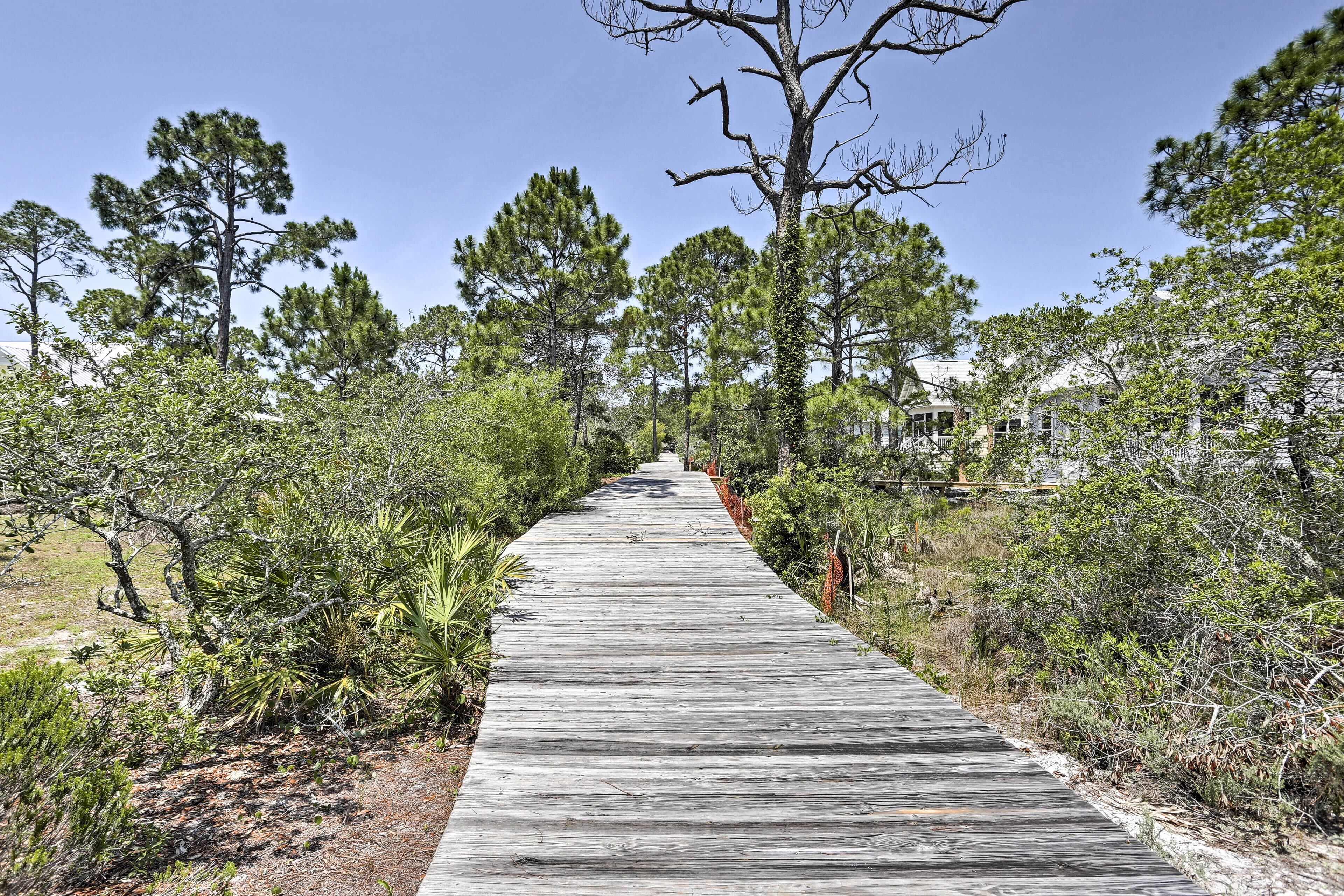 A wooden boardwalk leading through a natural area with trees and shrubs.