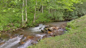 Ein natürlicher Bach fließt durch ein bewaldetes Gebiet mit Steinen und viel Grün.