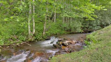 Nhà (3 Bedrooms) | Nội thất