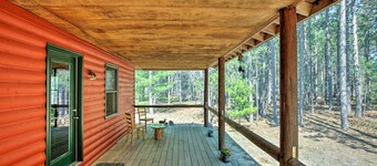 Private South Boardman Cabin on 10 Forest Acres!