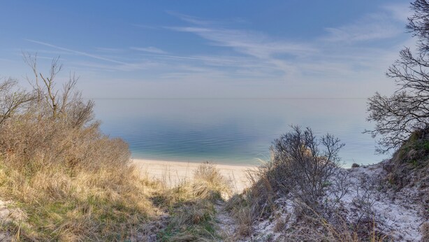 A beach with clear skies, sandy shore, and sparse vegetation. - Amazing Rocky Point Retreat Overlooking the Sound! (Rocky Point)