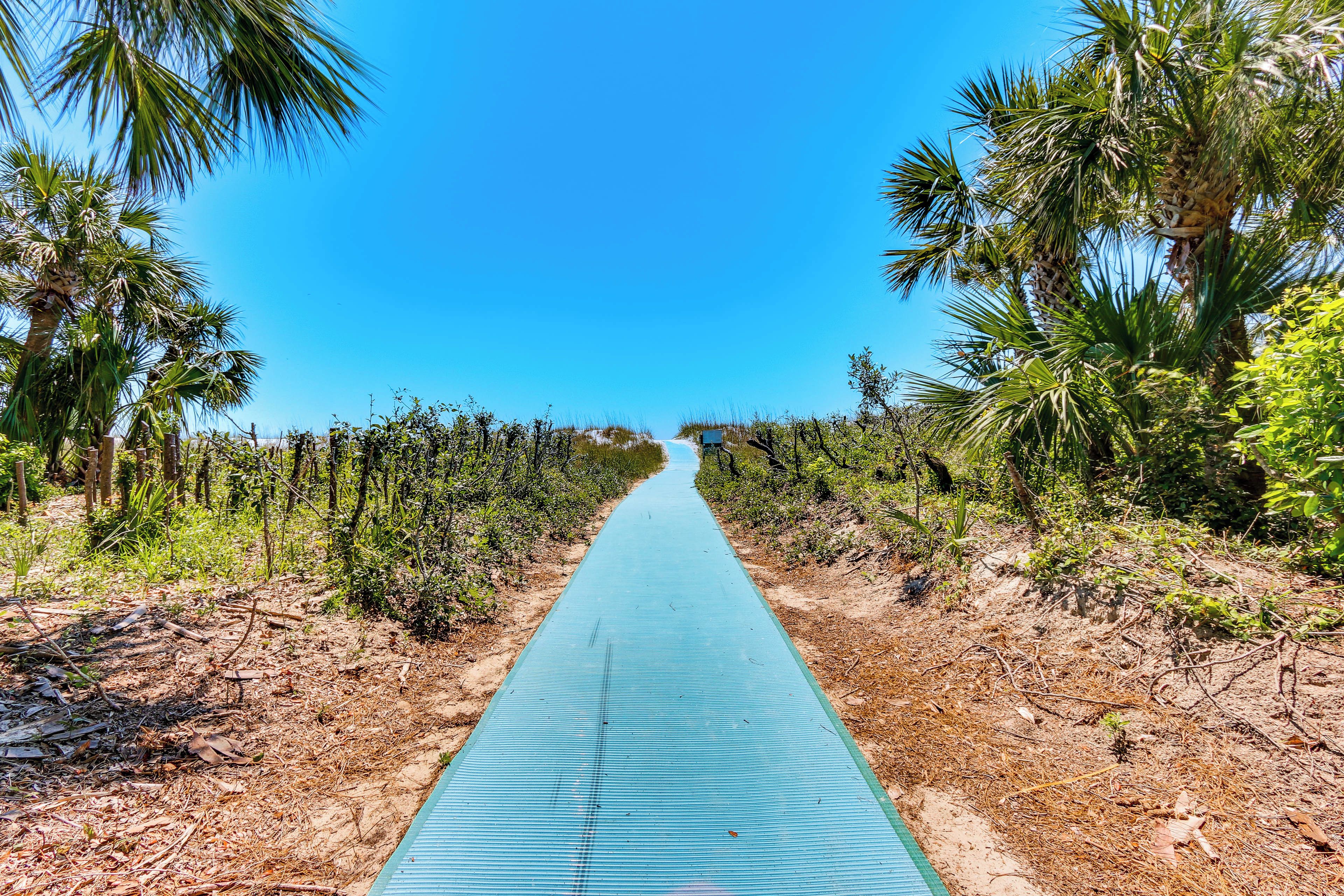 A pathway flanked by palm trees leading to a distant structure.