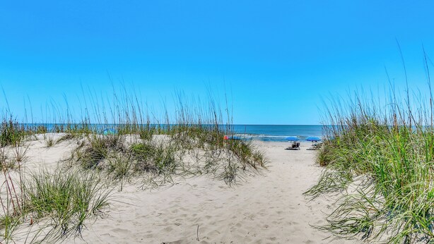 A sandy beach path leading to the ocean, surrounded by tall grass.