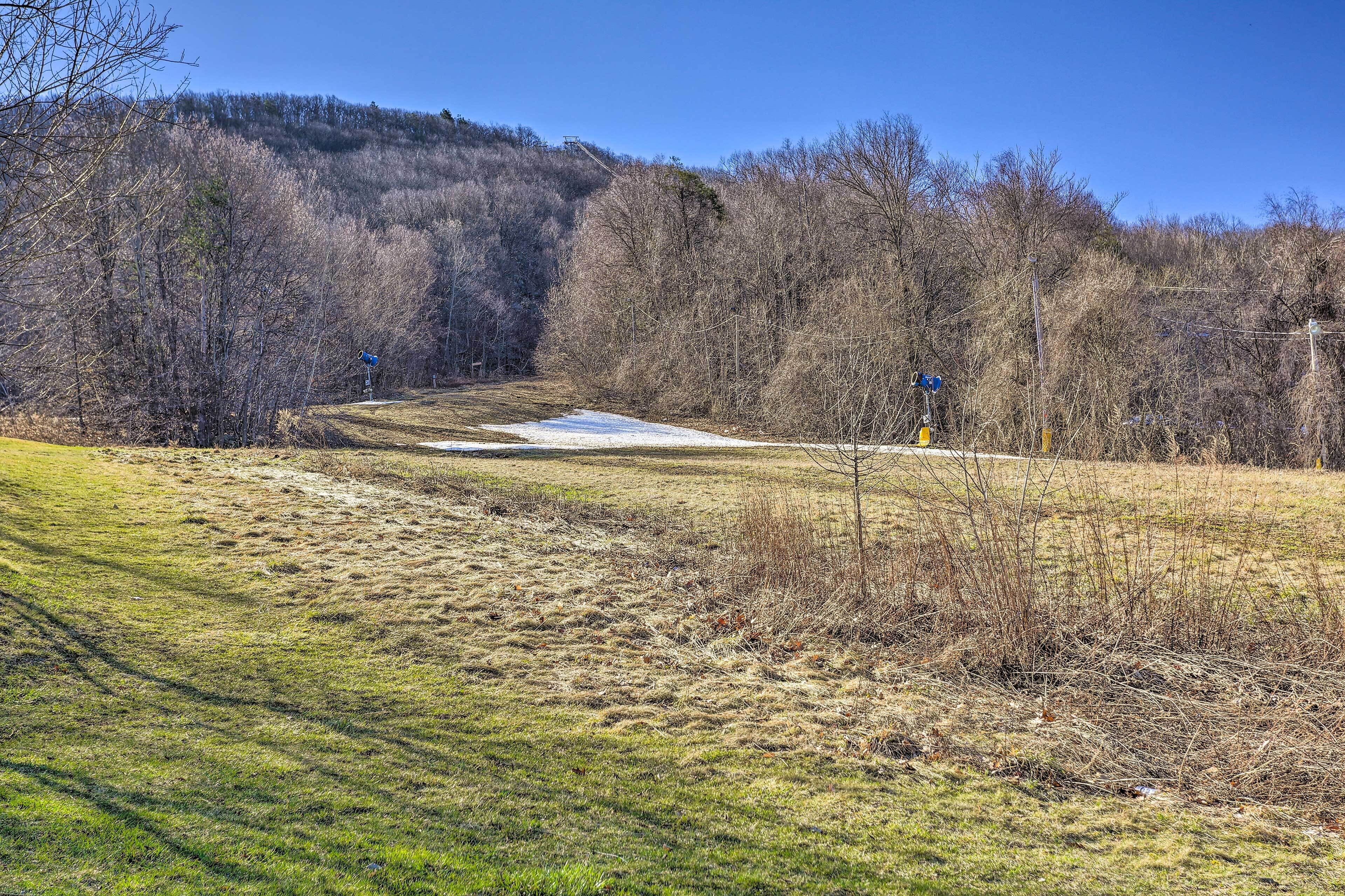Paisaje rural con cielo despejado, un sendero de tierra y una zona con nieve.