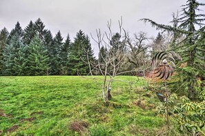 Lejlighed (1 Bedroom) | Interiør