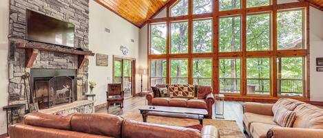 House (4 Bedrooms) | Living area | TV, fireplace, DVD player, books