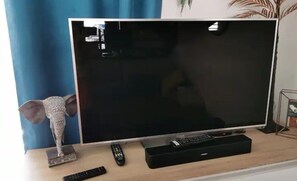 Television - Lovely duplex apartment on the ground floor, garden and swimming pool. Small pets accepted! (Biglette)