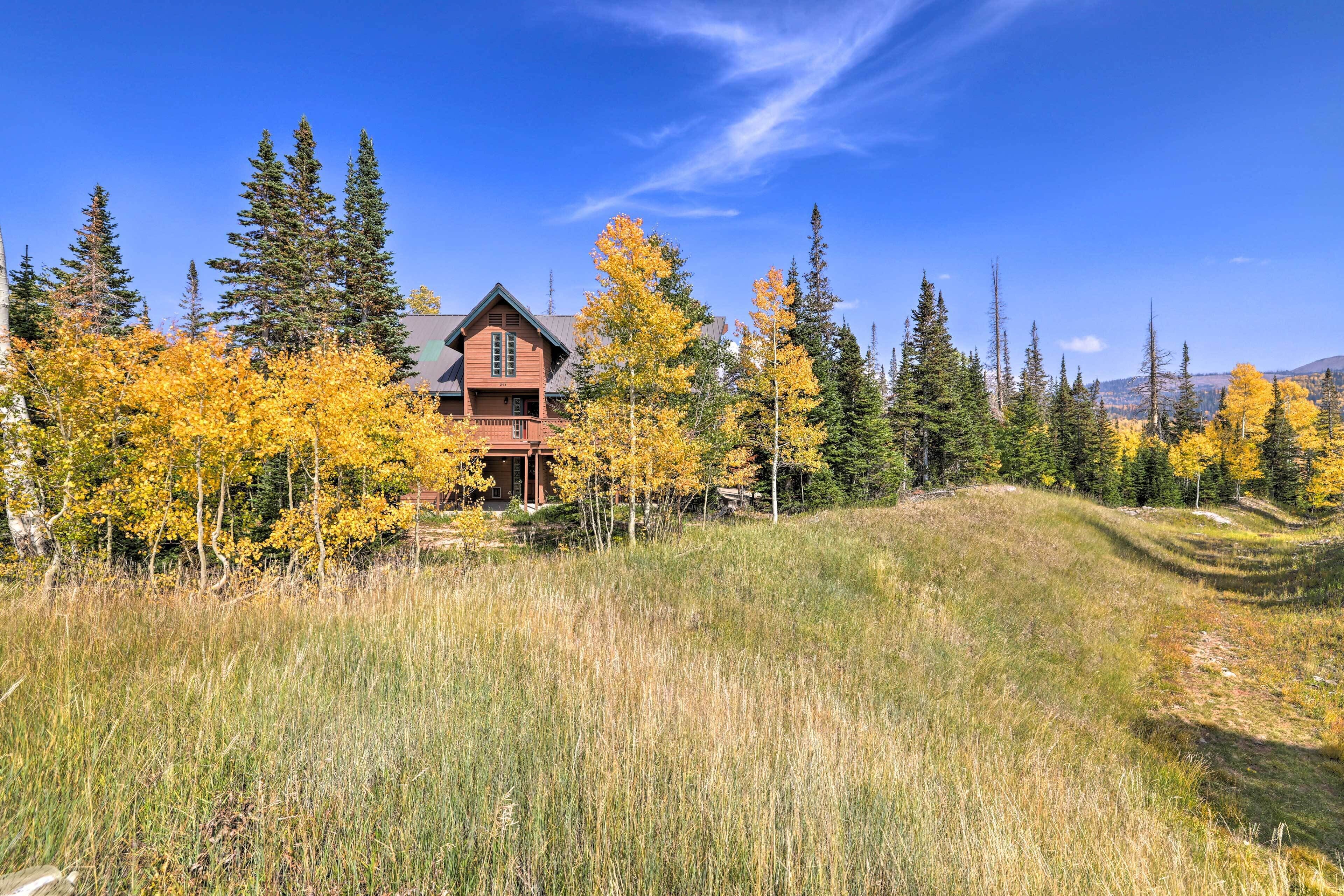 Nhà (3 Bedrooms) | Nội thất