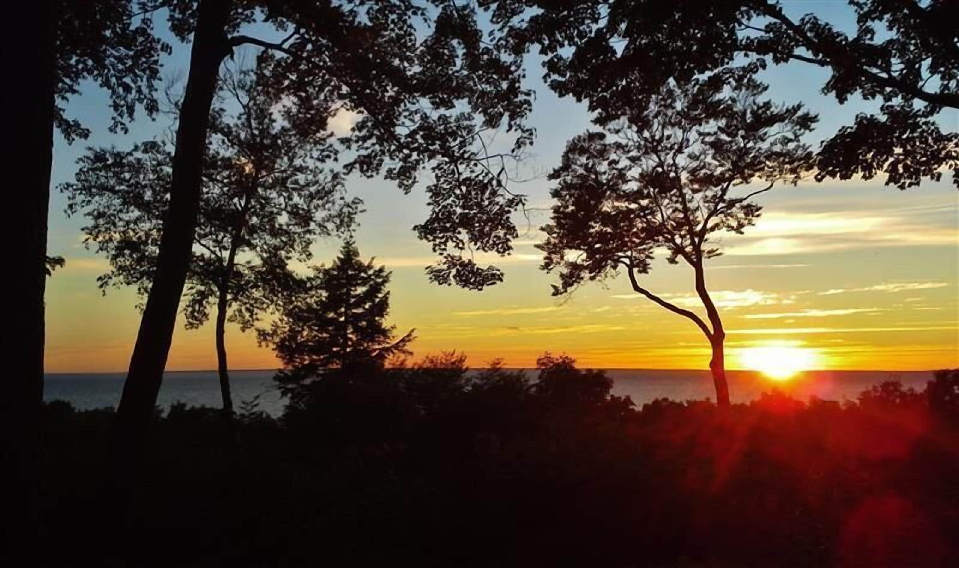 A sunset view with trees silhouetted against the sky.