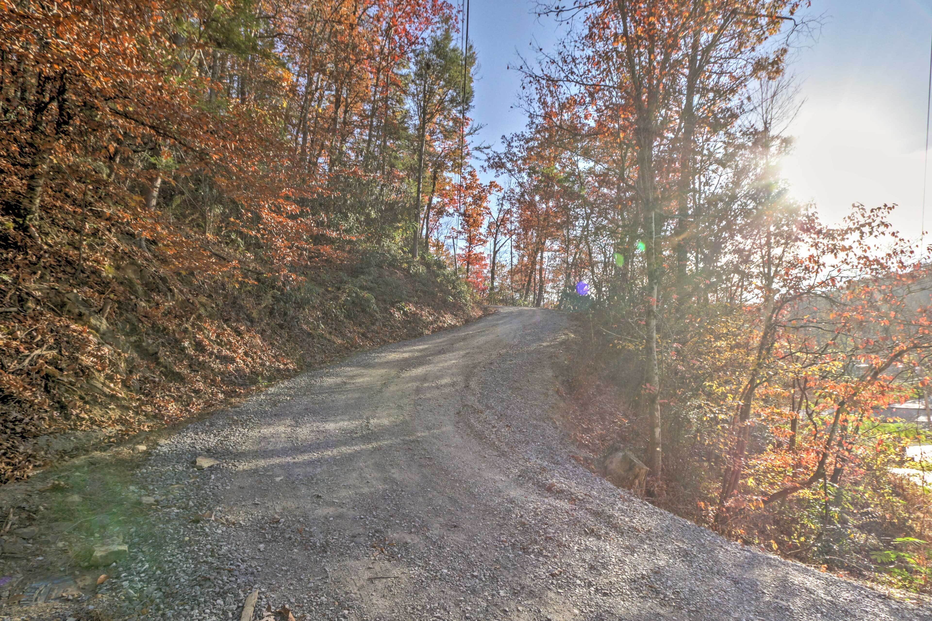 A gravel road winding through a forest with autumn foliage.