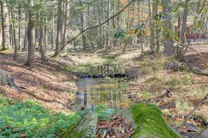 Een bebost gebied met een kleine beek, bomen en een rood gebouw op de achtergrond.