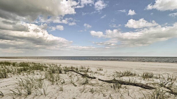 Une plage avec des dunes de sable et une bûche en bois au premier plan.