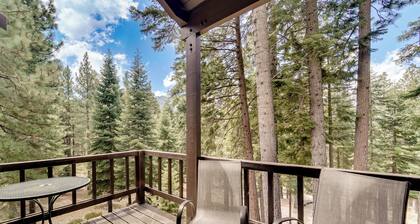 1 Mi to Northstar Village: Pet-friendly Condo!