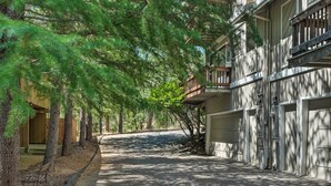 A residential street with a driveway leading to a garage, surrounded by tall pine trees.