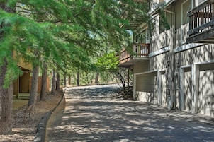 A residential street with a driveway leading to a garage, surrounded by tall pine trees.