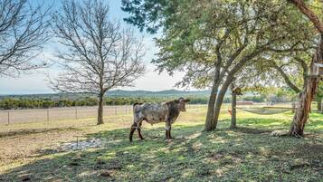 Nhà (4 Bedrooms) | Nội thất