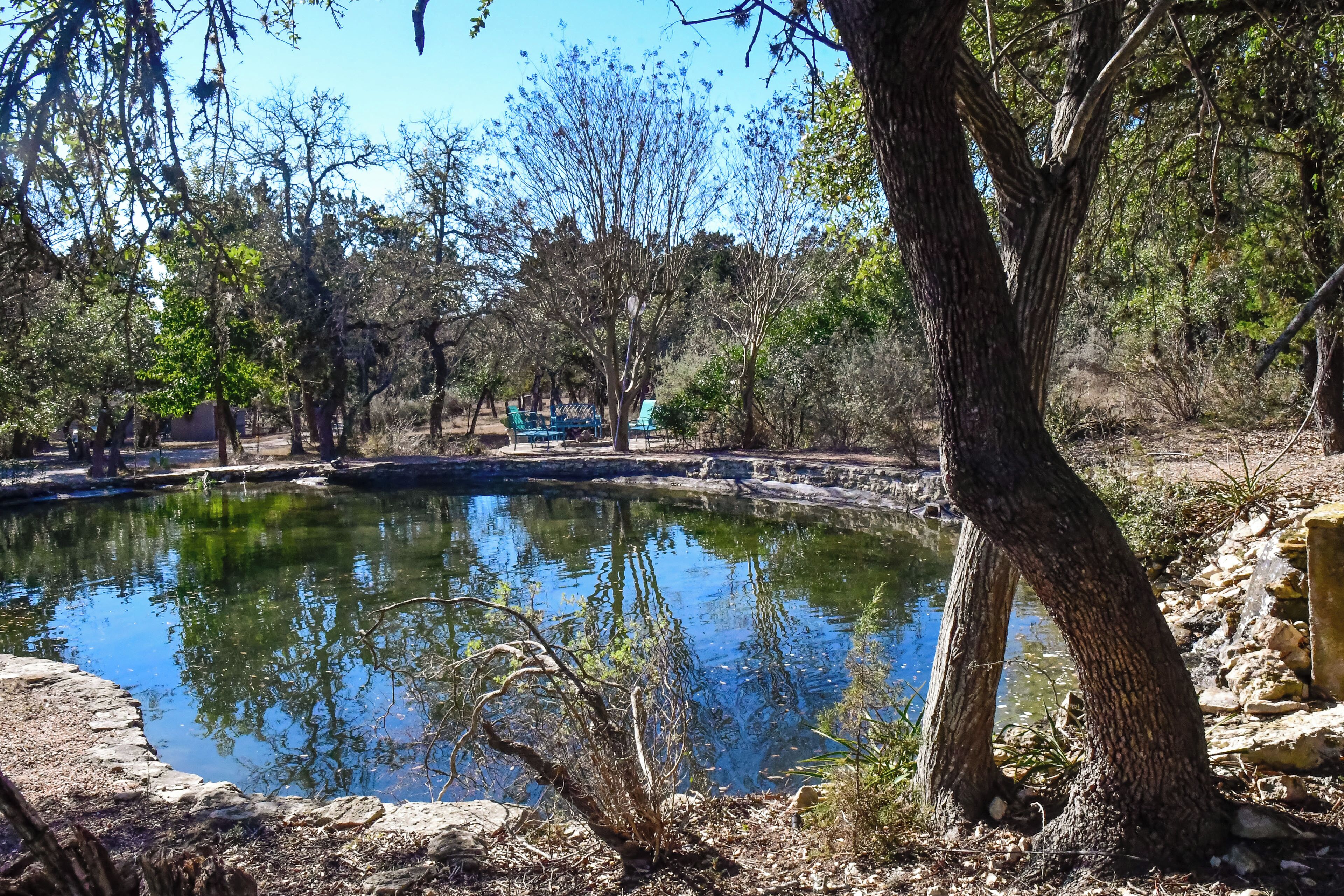 A natural setting with a pond, trees, and outdoor seating.