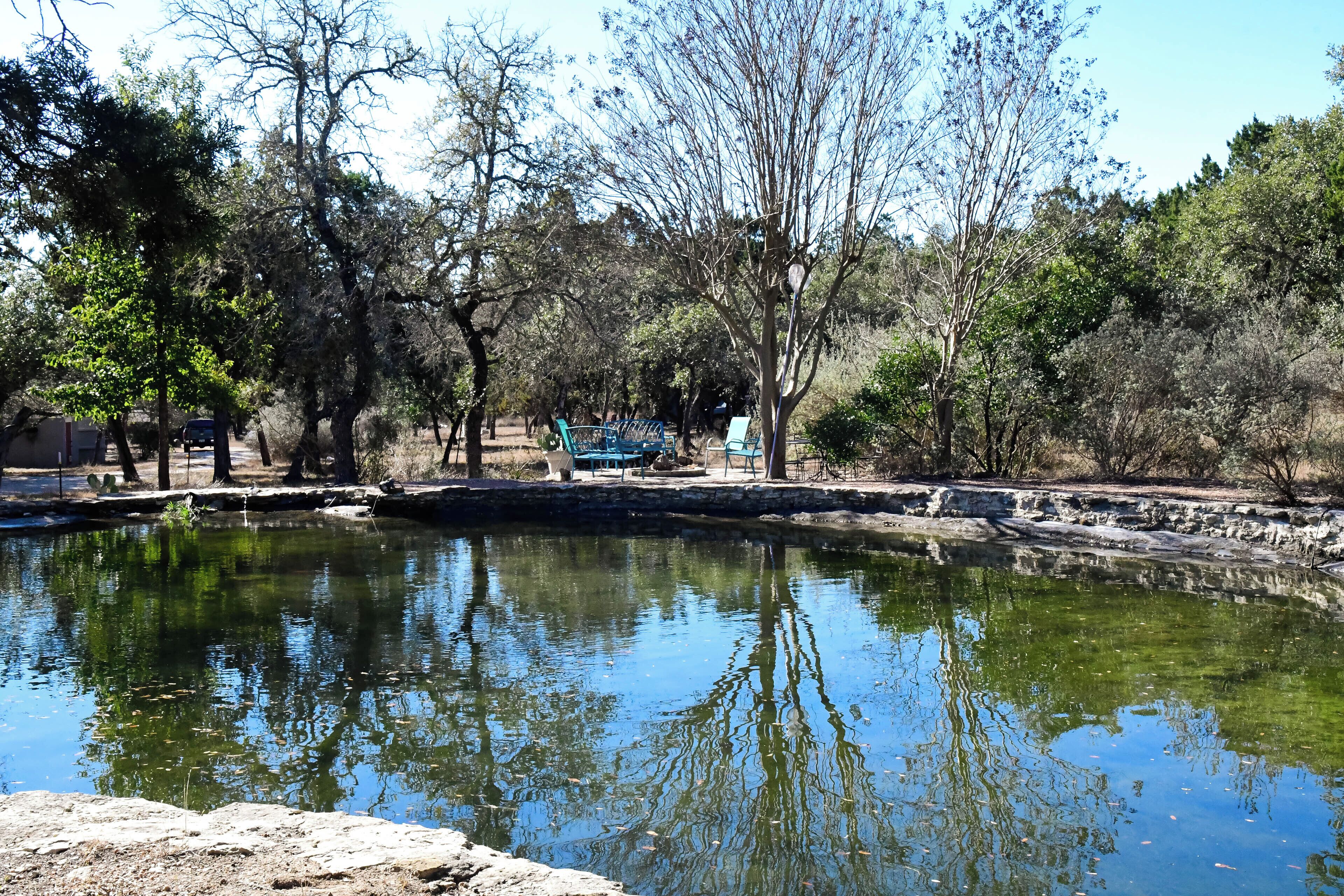 A tranquil outdoor setting with a pond, trees, and a bench.