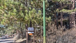 A signpost with 'The Wren' written on it, surrounded by pine trees and a building in the background. - Angel Fire Mtn Escape: Walk to Chile Express Lift! (Angel Fire)