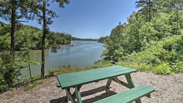 A green picnic table by a lake surrounded by trees. - Ouachita River Cabin: Royal Haven w/ Dock! (Royal)