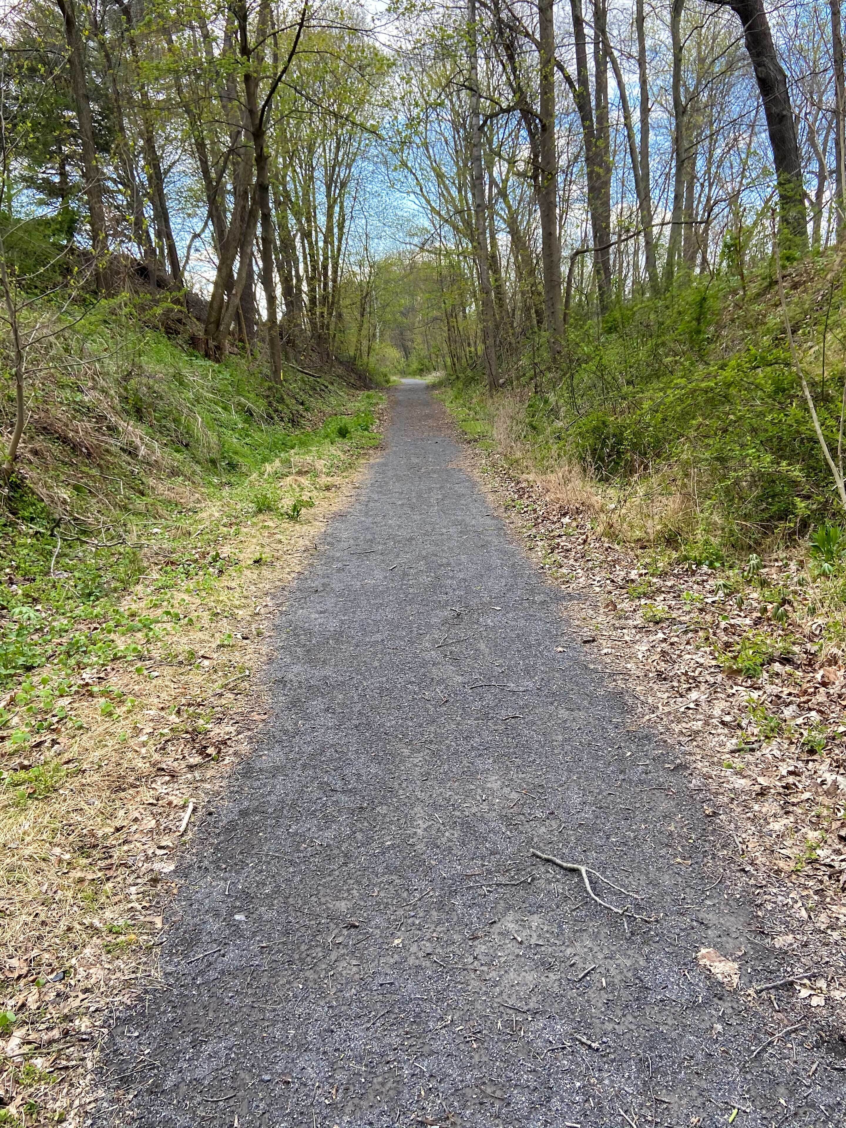 A paved path through a wooded area with trees on both sides.