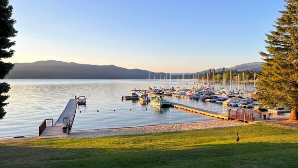 A marina with boats docked, a grassy area in the foreground, and mountains in the background. - Exquisite Mccall Log Cabin - Walk to Payette Lake! (McCall)