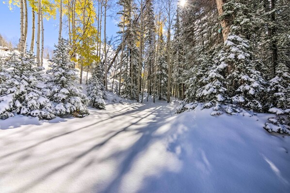 LÀgenhet (1 Bedroom) | Interiör