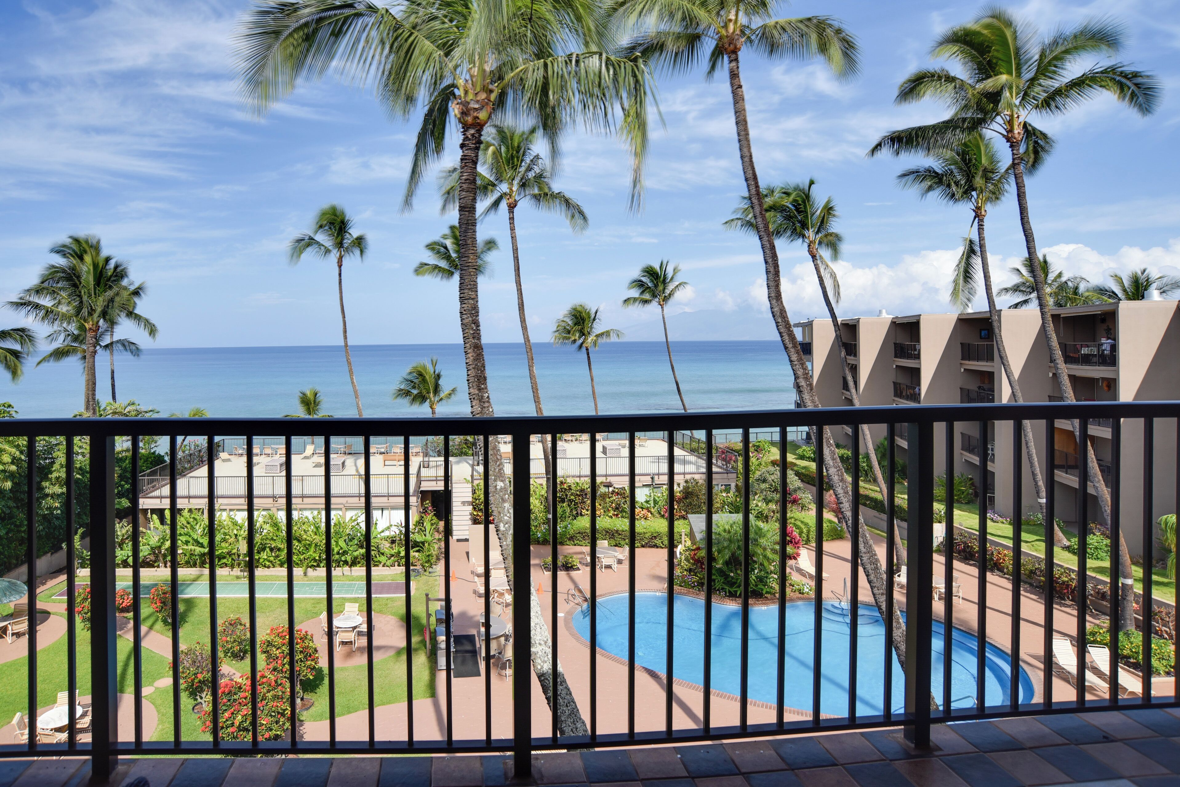 Ein Poolbereich mit Palmen und Blick auf das Meer.