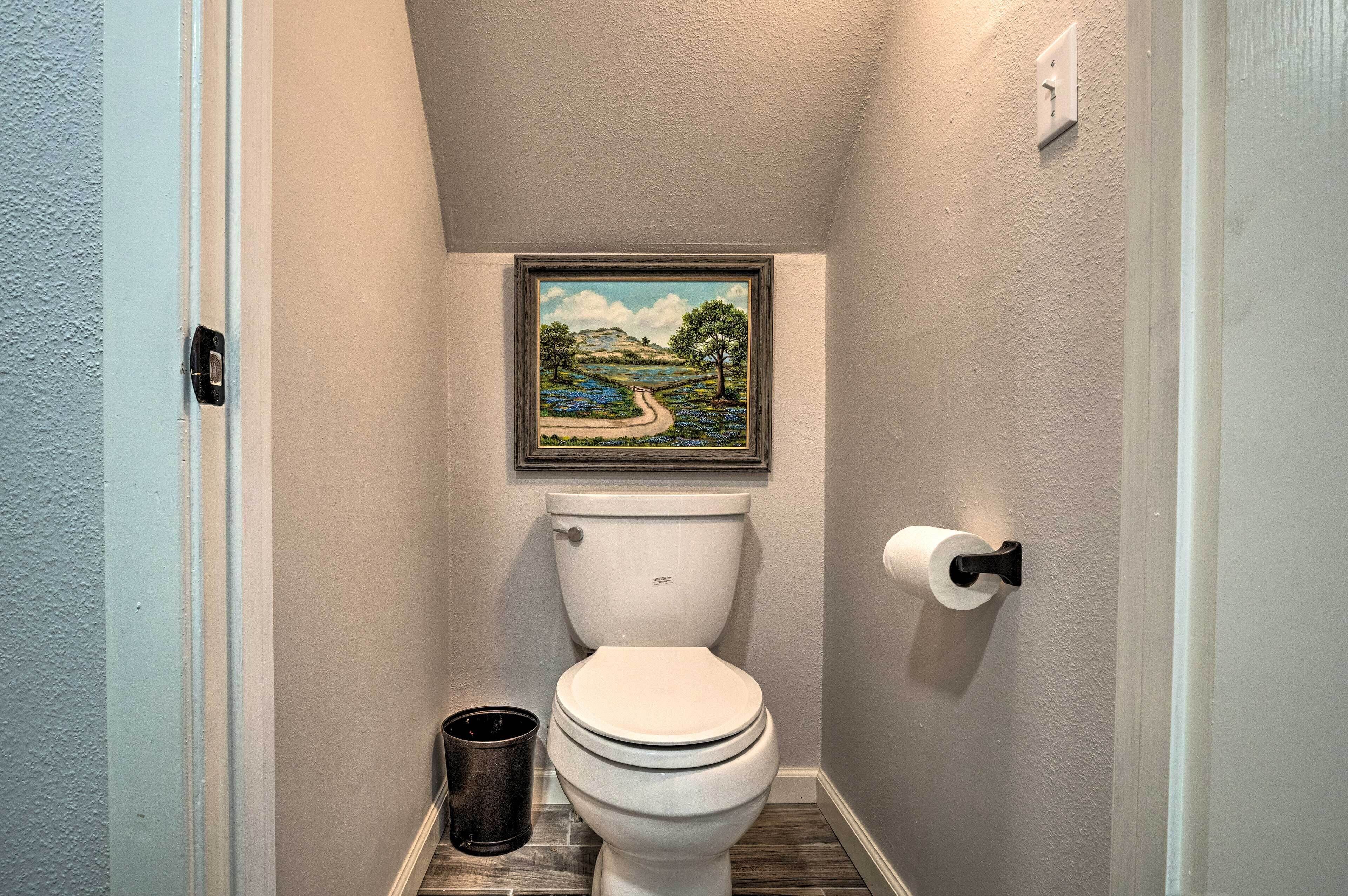 Een kleine badkamer met een toilet, een landschapsschilderij en een prullenbak.