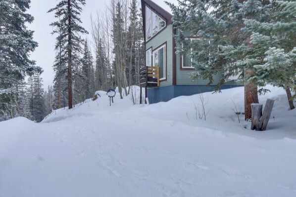 House (3 Bedrooms) | Interior - Mountain Cabin: 15 Mi to Breckenridge Ski Resort! (Alma)