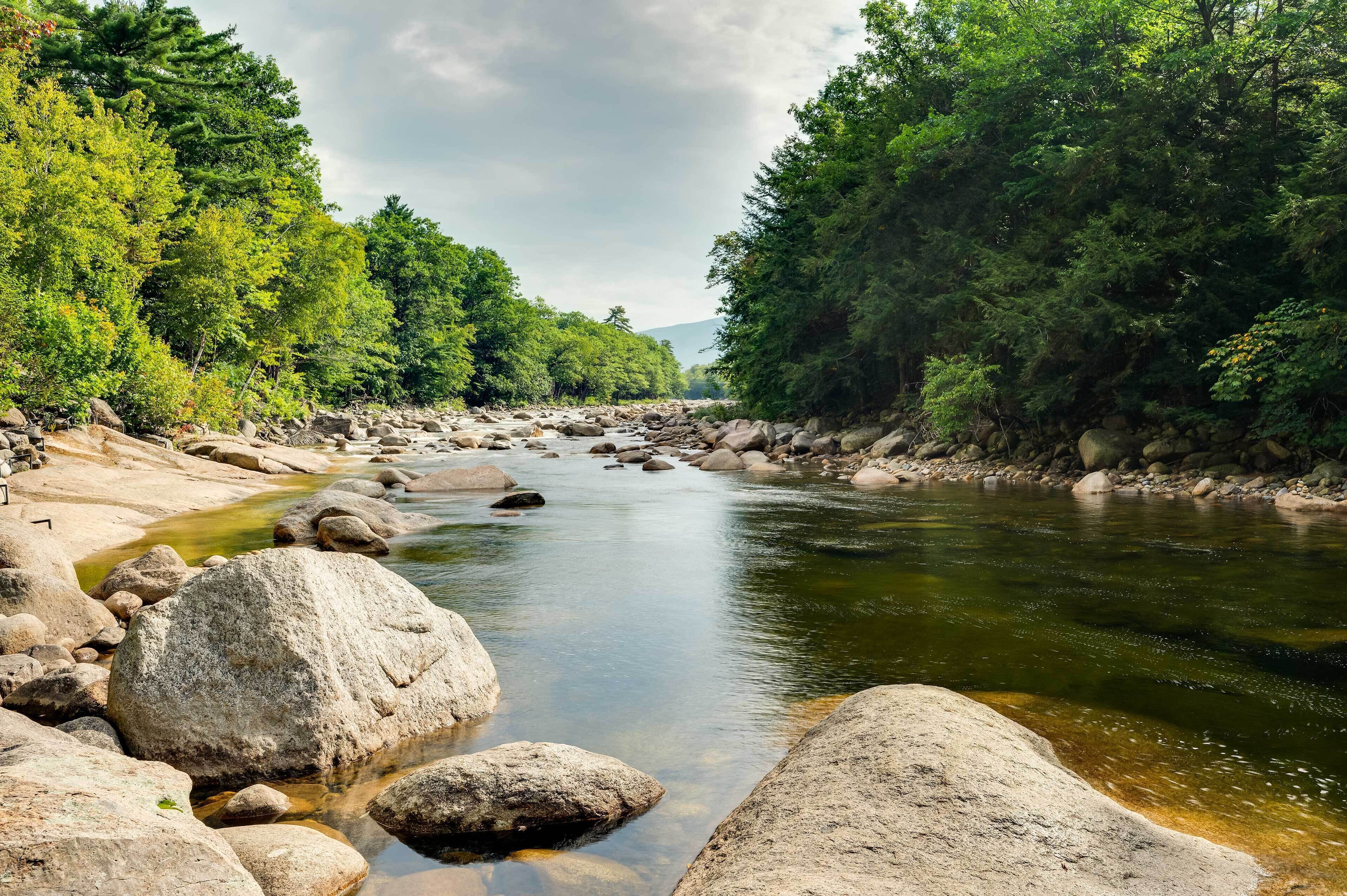 A river with clear water surrounded by rocks and dense green trees.