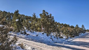 Une route enneigée bordée d’arbres des deux côtés.