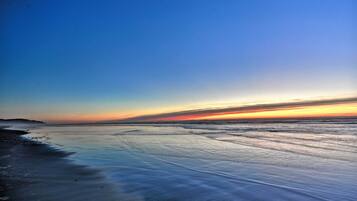 Apartment (0 Bedroom) | Interior