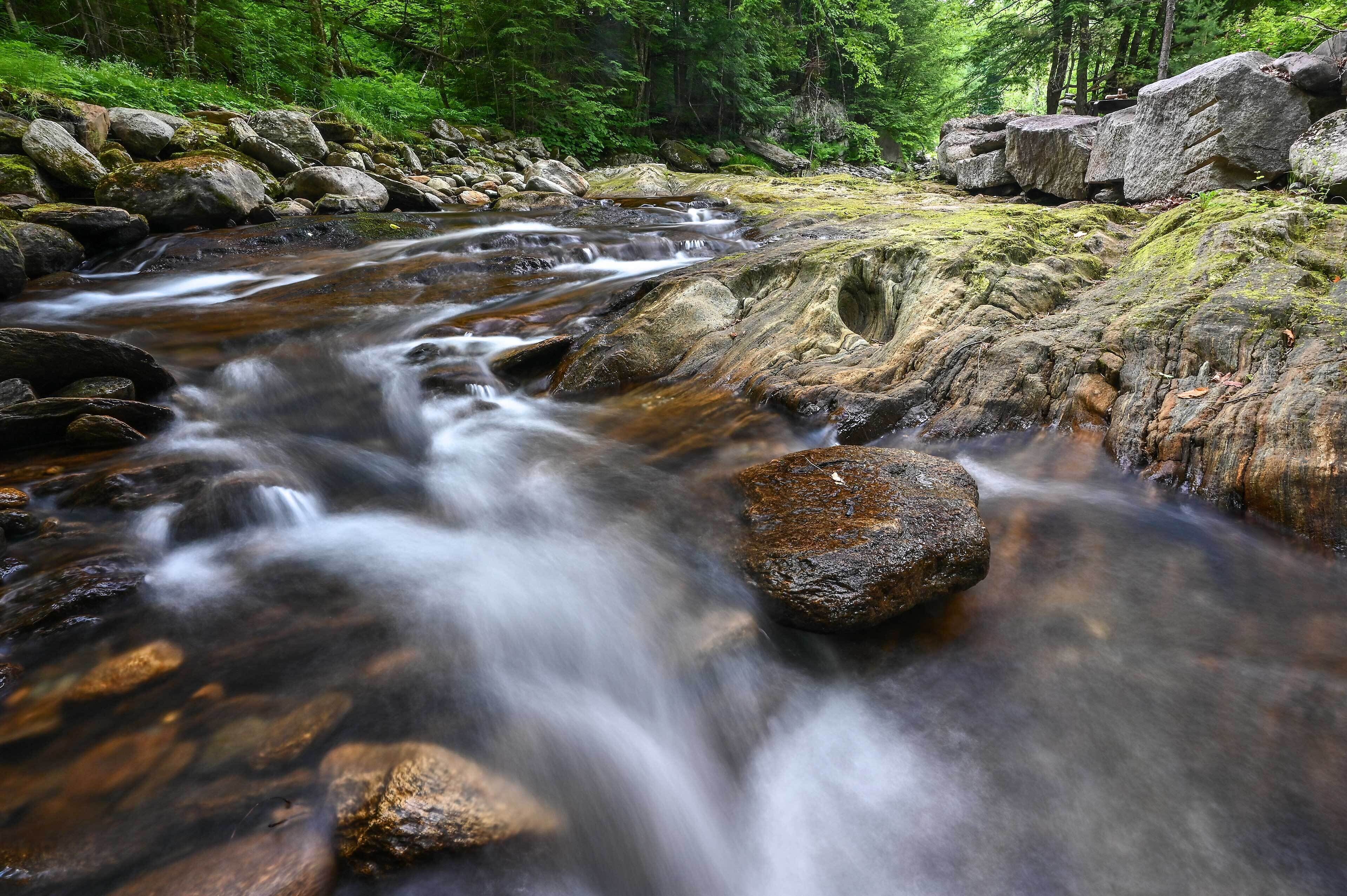 A stream flowing over rocks in a forested area.
