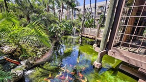 A koi pond surrounded by lush greenery and a wooden bridge. - Beachfront Oceanside Condo w/ Pool & Hot Tub! (Oceanside)