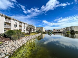 Pool - Blue Palms at the Beach · Blue Palms at the Beach (North Myrtle Beach)