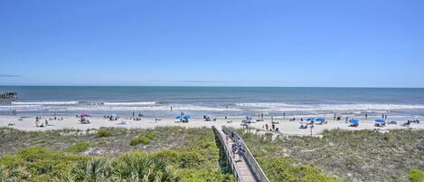 アパートメント (1 Bedroom) | 内装