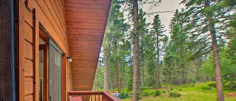 Ferienhaus (4 Bedrooms) | Innenbereich