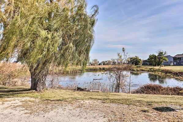Apartment (1 Bedroom) | Interior