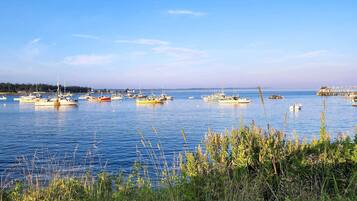 Cottage (1 Bedroom) | Interior