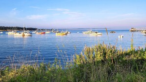 A marina with various boats docked, calm water, and a distant shoreline with trees. - Hidden Gem Cottage' Near Blue Hill Peninsula (Brooklin)