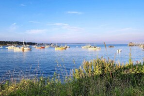 平房 (1 Bedroom) | 內部