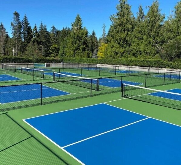 A tennis court complex with multiple courts, surrounded by trees.