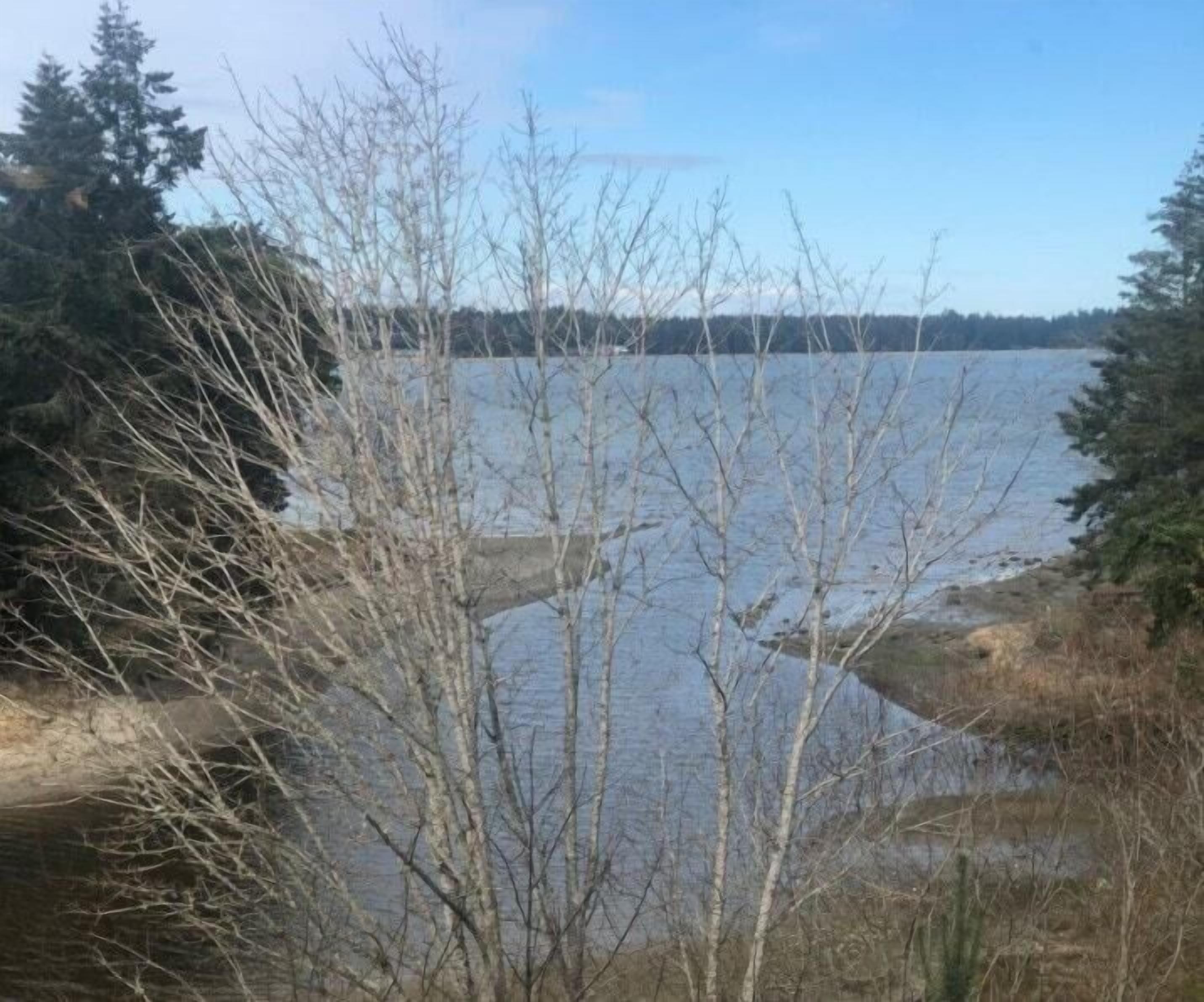 A natural landscape with a body of water, trees, and a clear sky.