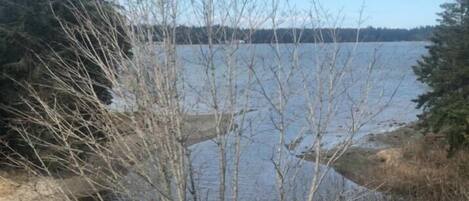 A natural landscape with a body of water, trees, and a clear sky.