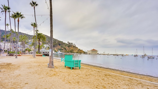 A beach with a turquoise chair, palm trees, and a calm sea with boats. - Steps to Beach & Bites: Catalina Island Retreat! (Avalon)