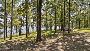 A forested area with tall trees and a bench near a body of water.