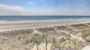 Ein Strand mit blauem Himmel, sandigem Ufer und spärlicher Vegetation.