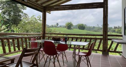 Finca Cafetera, Refugio de Tranquilidad y Naturaleza