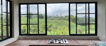 Finca Cafetera, Refugio de Tranquilidad y Naturaleza